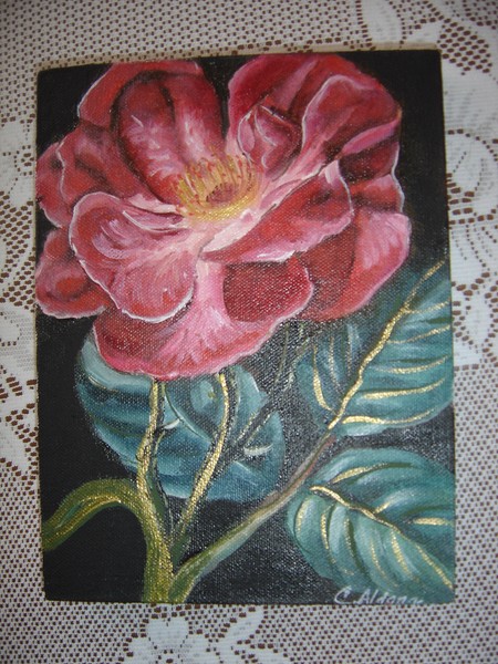 Hermosa Rosa