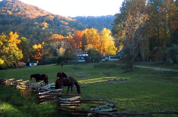 Sherrill's Inn Farm