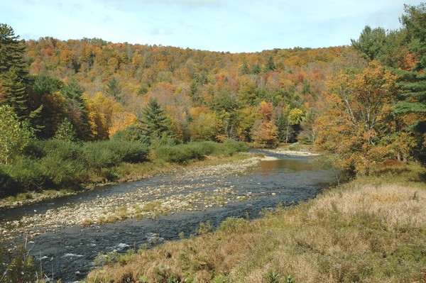 Mountain Stream in fall colors