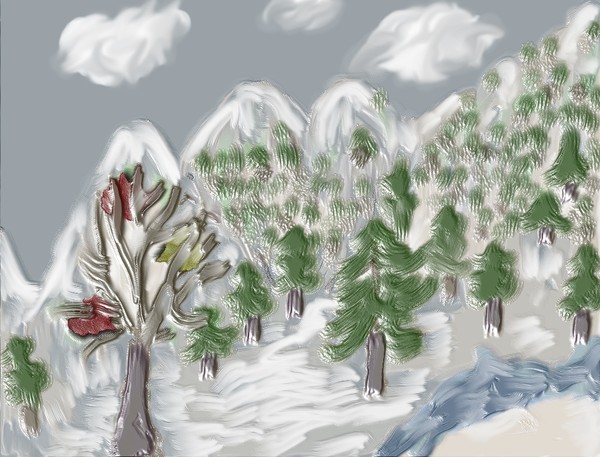 forest winter