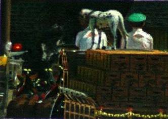 The Parade*an original oil, no prints*