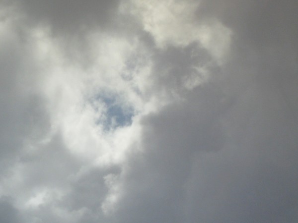 Can you C it?