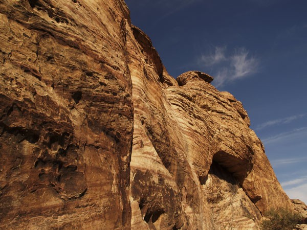 Desert Landscape