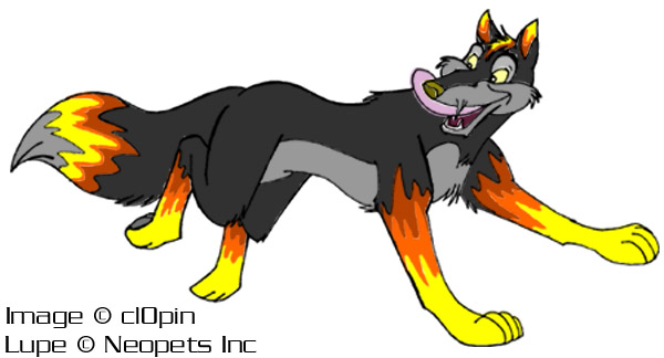 Neopet Lupe - BaroRom