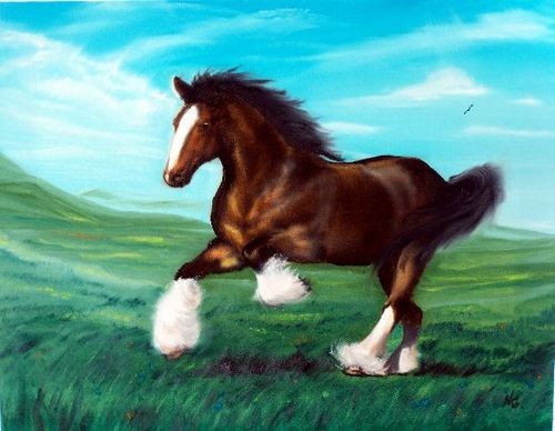Horse