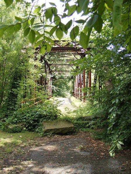Old trestle bridge