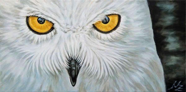 Snow Owl
