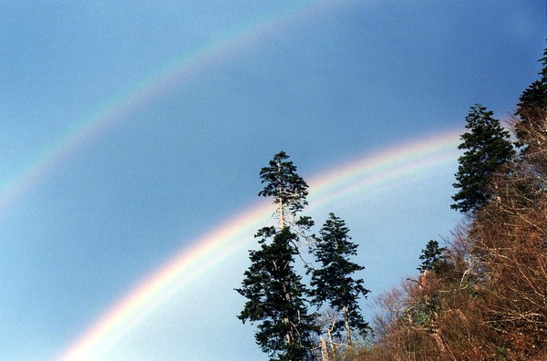 Double Rainbow
