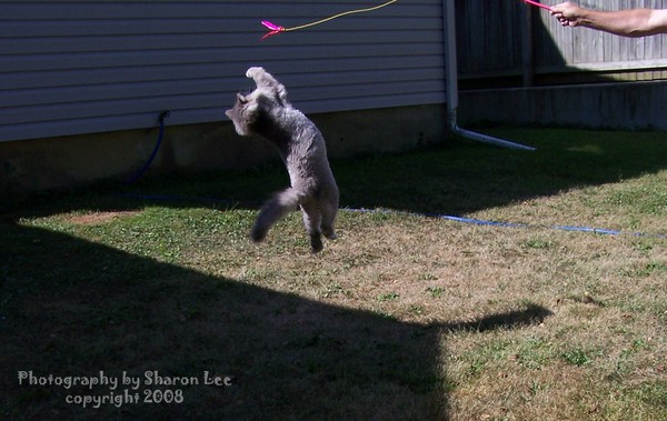 Betty Lou playing
