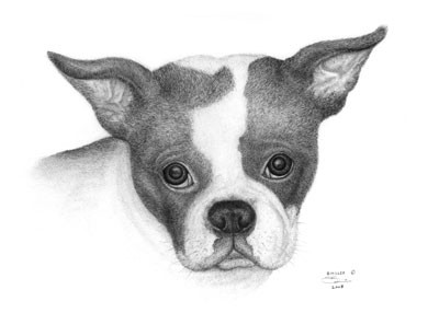 Lucy