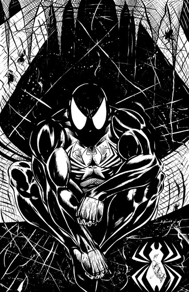 Black Costume Spiderman