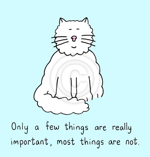Most things are not important.