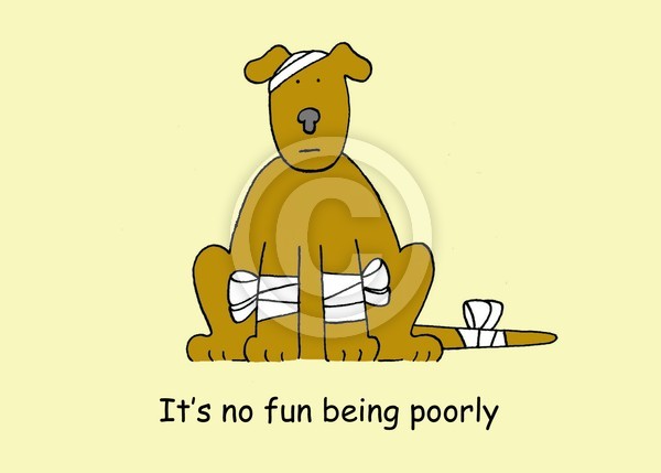 Poorly dog.