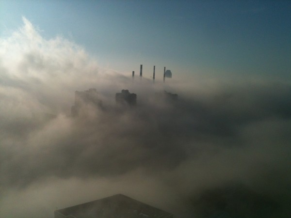 Fog