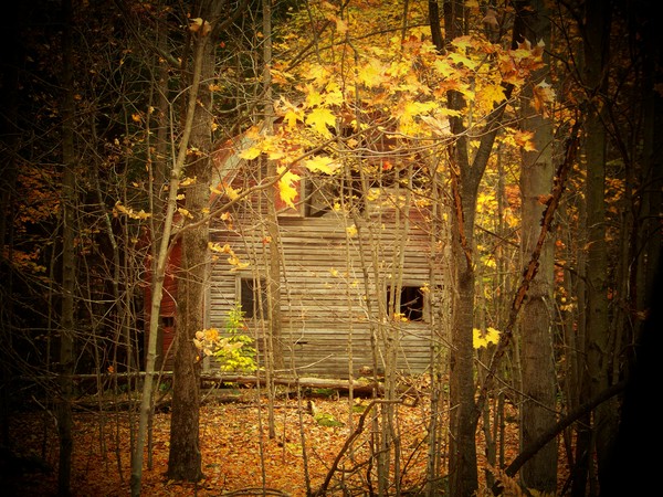 Old Homestead