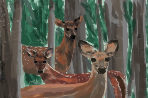 We Three