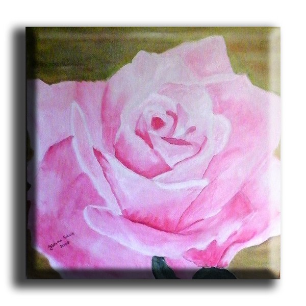 colored petals