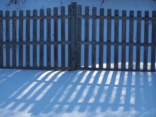 Winter Fence