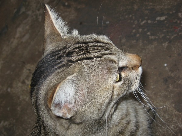 Not Looking at You!