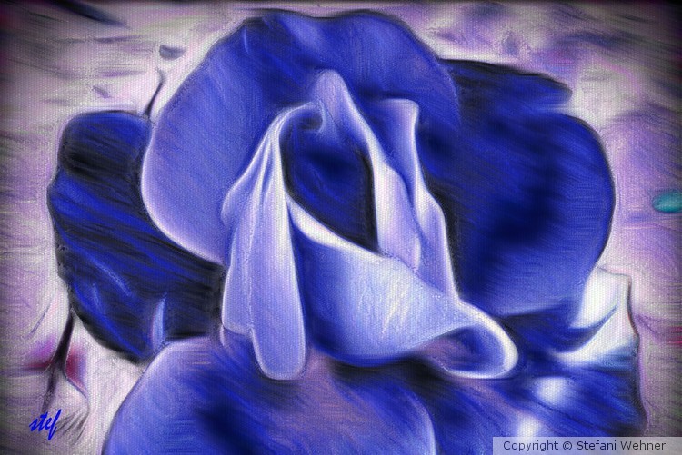 roseblues