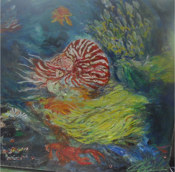  The Nautilus 20'X20