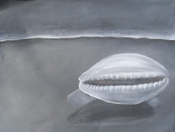 Shell