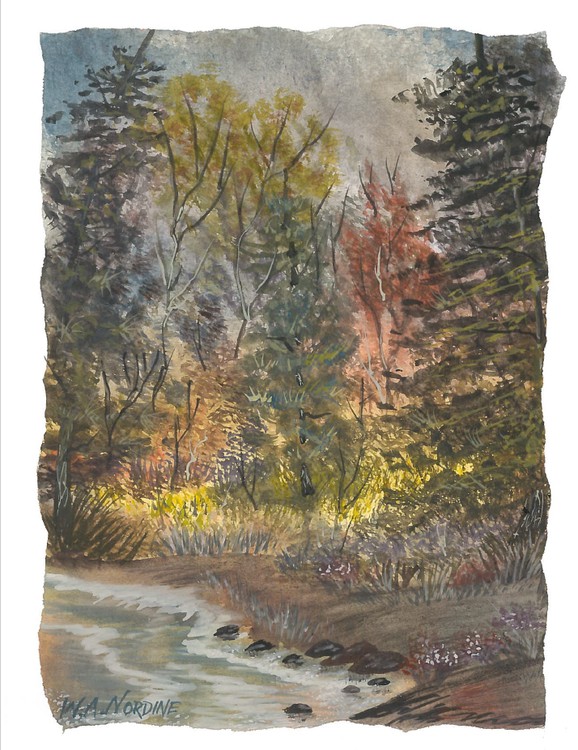 Deep Woods