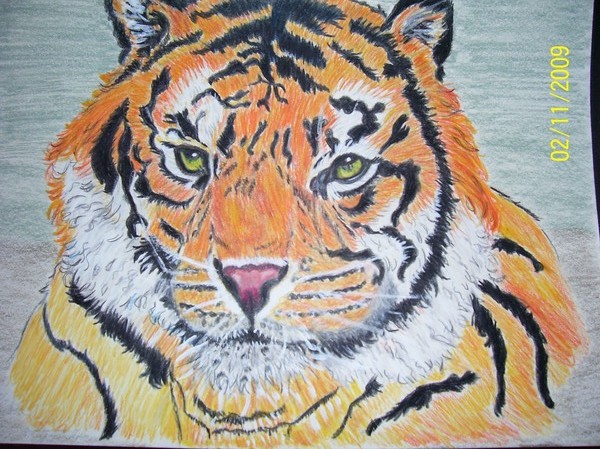 Tiger,another earlier work