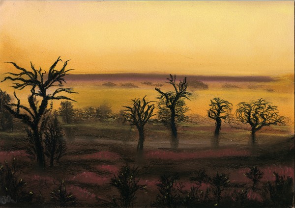 Transvaal