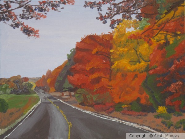 M Highway South in Fall
