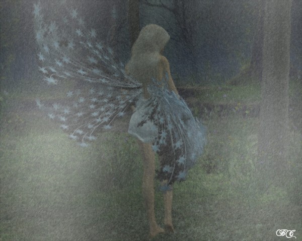 BrokenWings