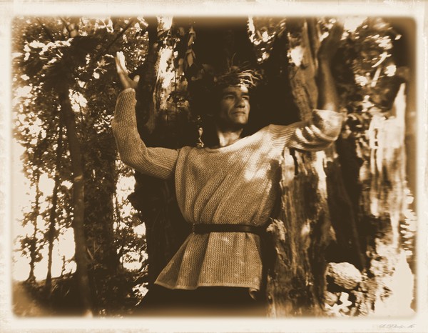the king of the  tree