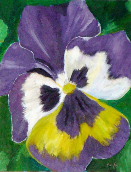 Pansy face