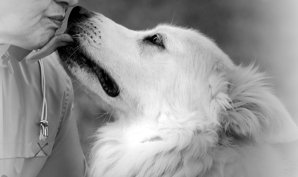 Last Kiss
