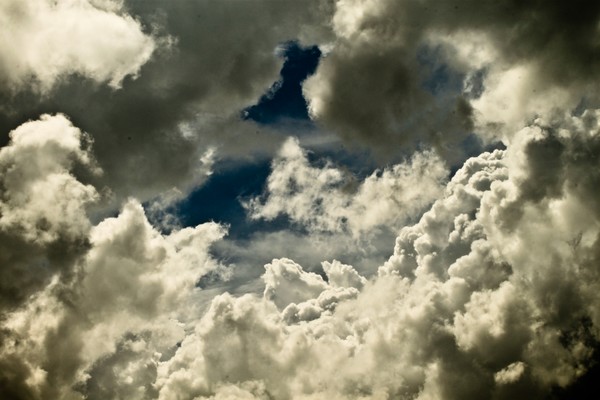 Wild Sky