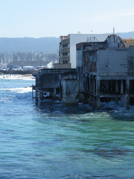 The Beauty of Monterey