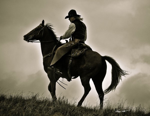 The Wrangler