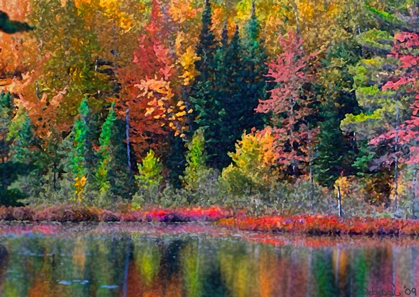Fall On The Water