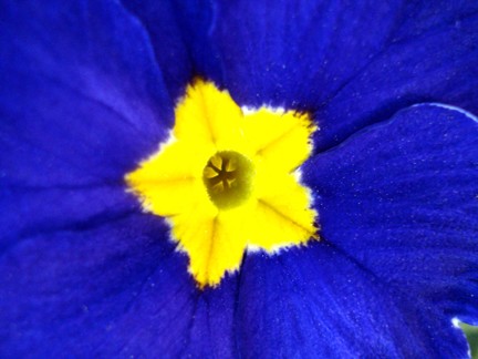 Starburst in Deep Blue