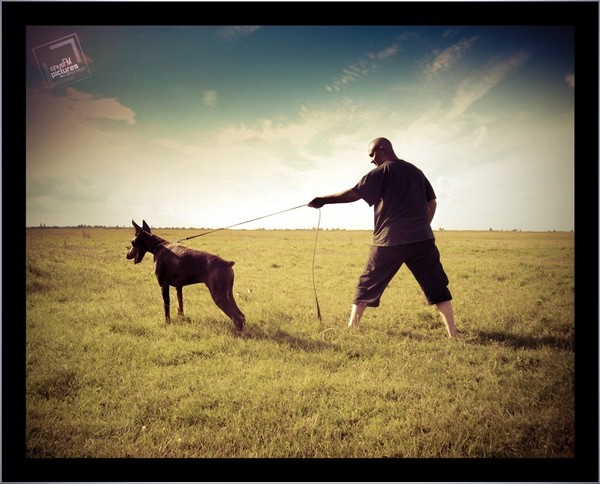 Zoli and Havoc