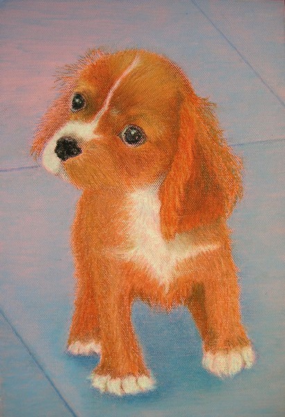 Puppy
