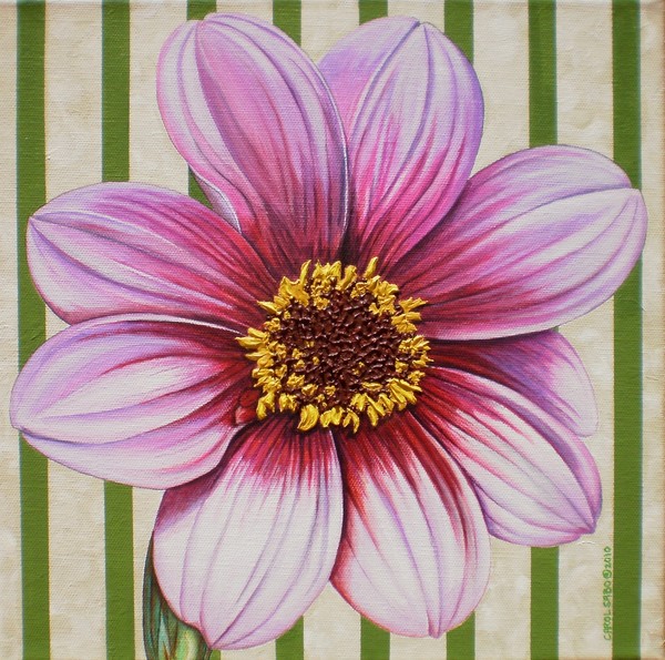 Stripes-Dahlia I
