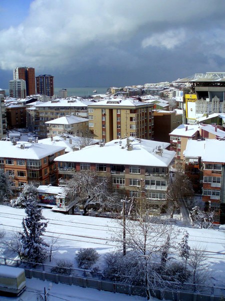 winter out of my window