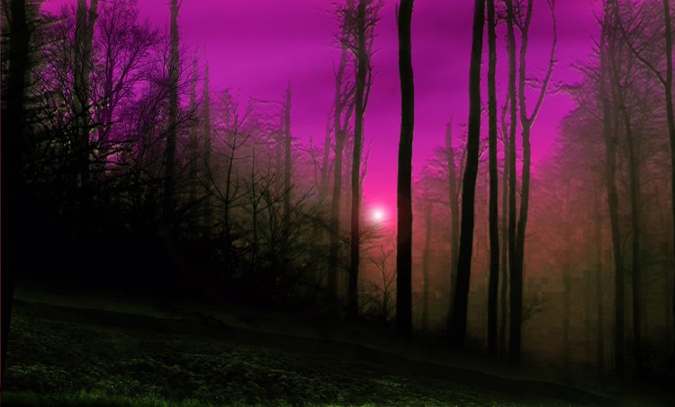 Appalachia Morn