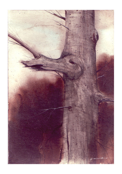 a tree.