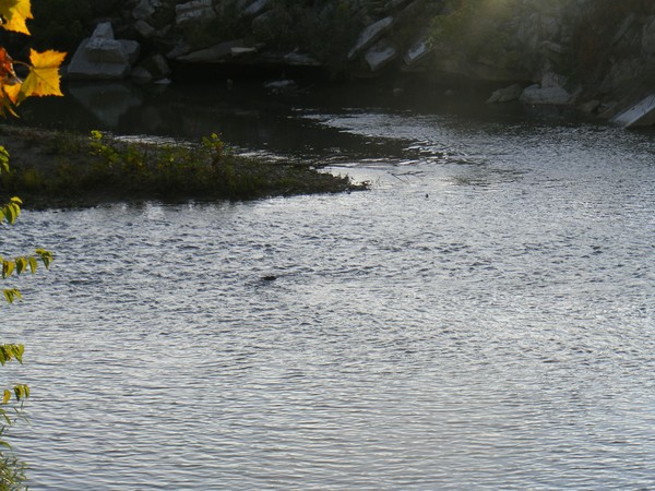 river