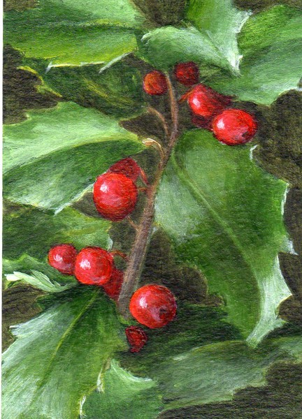 Holly Holiday