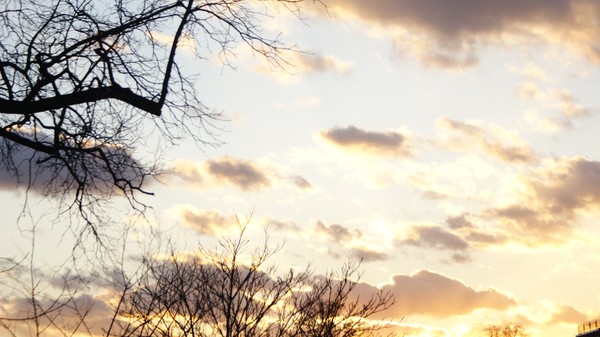 Sunset of 12 11 09 (1)
