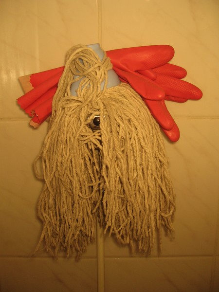 Moppi