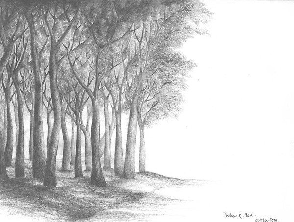 Trees